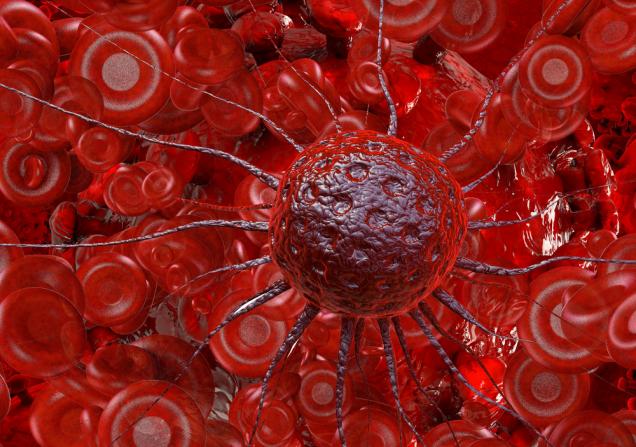 Cancer cell in blood. Image by xrender via Shutterstock
