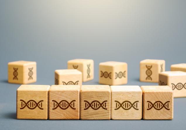 Wooden blocks with DNA symbols on them. Image by Andrii Yalanskyi via Shutterstock.