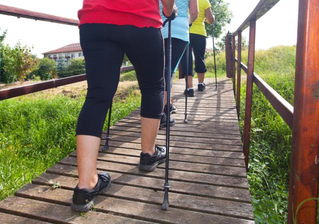 A group of three senior people doing Nordic walking on a wooden boardwalk in the countryside. Image by Jenny Sturm via Shutterstock.