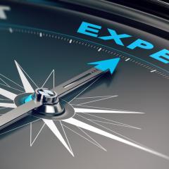 A compass pointing to the word 'Expert'. Image by Olivier Le Moal via Shutterstock