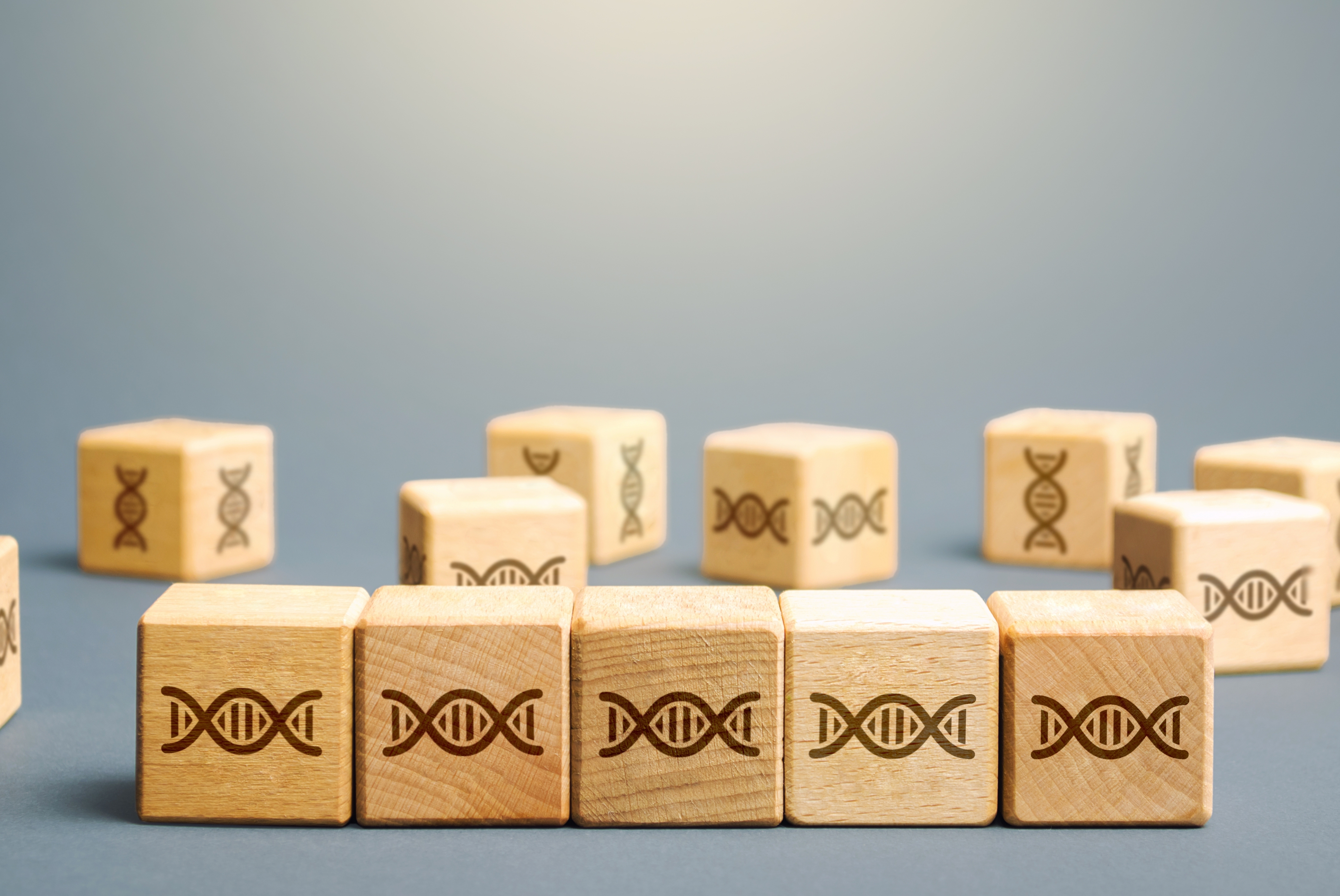 Image of DNA chromosomes on wooden blocks. By Andrii Yalansky via Shutterstock