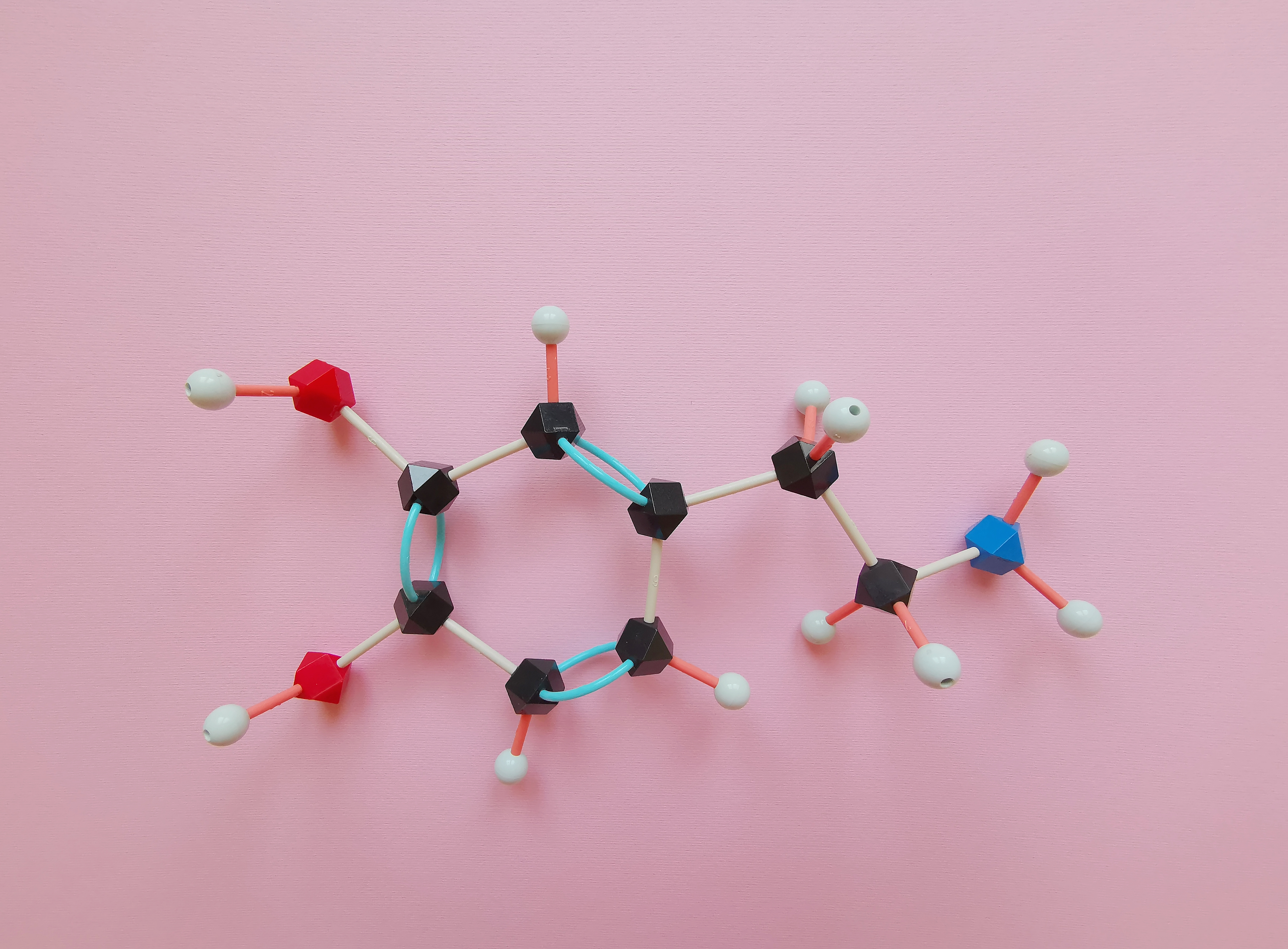 Model of a dopamine molecule. Image courtesy of Shutterstock