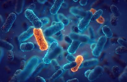Illustration of antimicrobial resistance. Image credit: nobeastsofierce via Shutterstock Illustration of antimicrobial resistance. Image credit: nobeastsofierce via Shutterstock