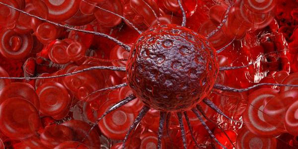 Cancer cell in blood. Image by xrender via Shutterstock