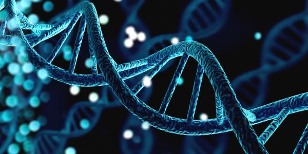 Illustration of a blue DNA helix. Image by Billion Photos via Shutterstock.