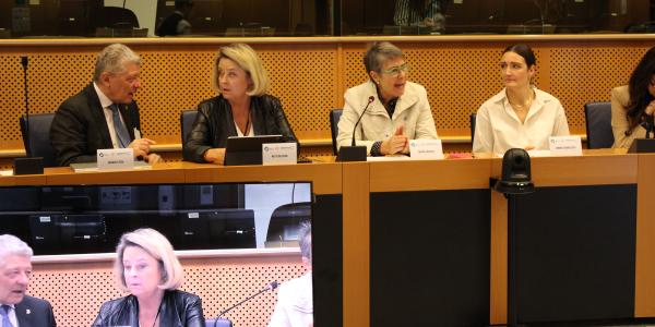 MEP Stine Bosse, Chantal Mathieu, Simone Overby Sloth and Emmanuele Bosi speaking at the European Parliament.