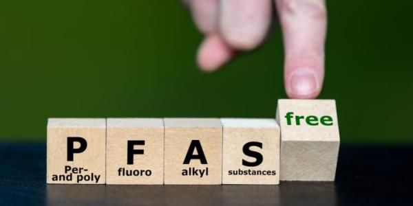 Wooden blocks spell PFAS and a finger turns a block that says ‘free’. We need to remove PFAS from health. © FrankHH, Shutterstock
