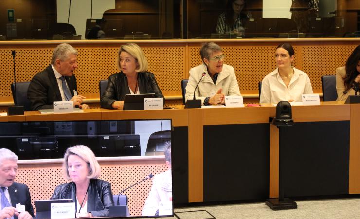 MEP Stine Bosse, Chantal Mathieu, Simone Overby Sloth and Emmanuele Bosi speaking at the European Parliament.