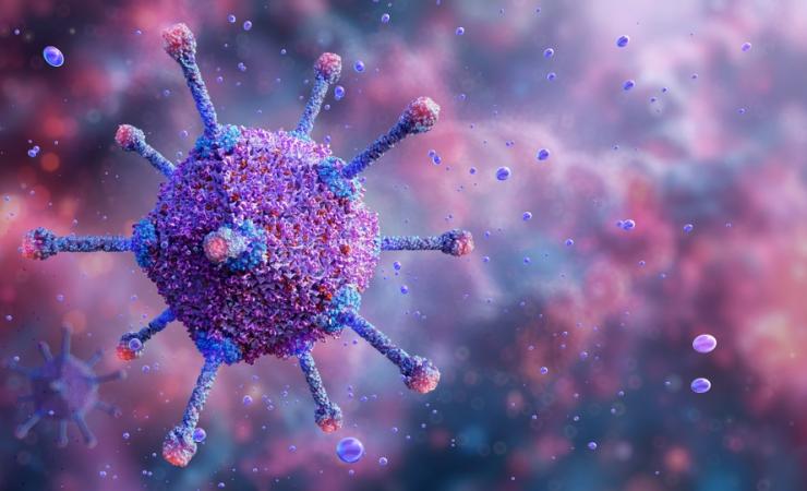 Adeno-associated virus, often used as vectors for gene therapies. 