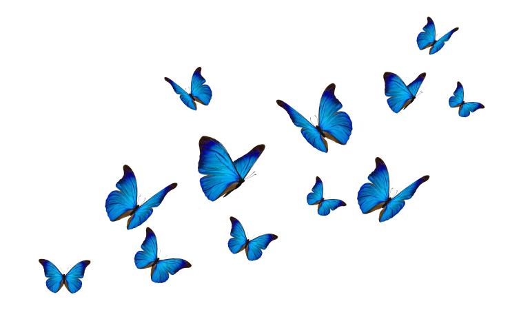 Blue butterflies on a white background. Image by Butterfly hunter via Shutterstock.