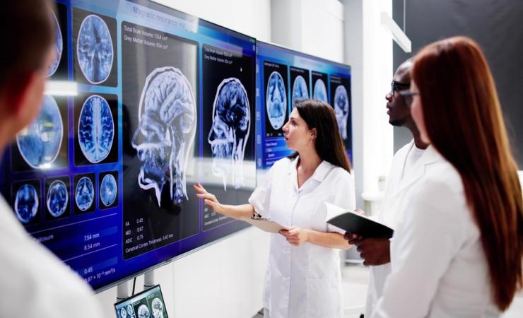 Researchers examining brain scans. Image credit: Andrey Popov via Shutterstock. 
