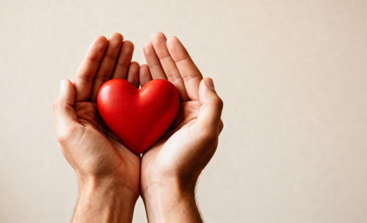 Hands holding a heart. IMPACT-MED aims to improve the care of cardiometabolic diseases.