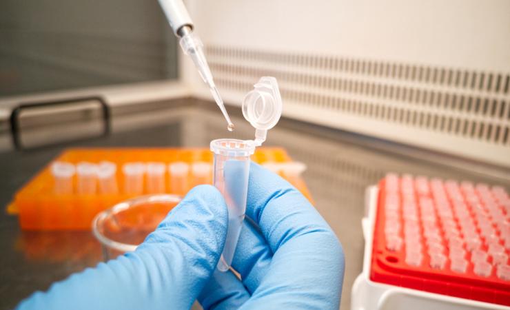 Lab technician in blue medical gloves using an electronic pipette to put liquid in an eppendorf. Image by Ladanifer via Shutterstock