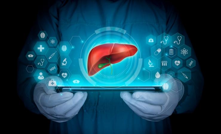 A doctor projects a human liver on a tablet, using AI to assess cancer treatment success.