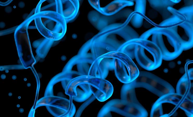 A blue, coil-shaped protein structure. LIGAND-AI is accelerating protein research and drug discovery.