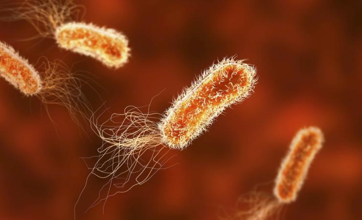 Image credit: Kateryna Kon via Shutterstock
