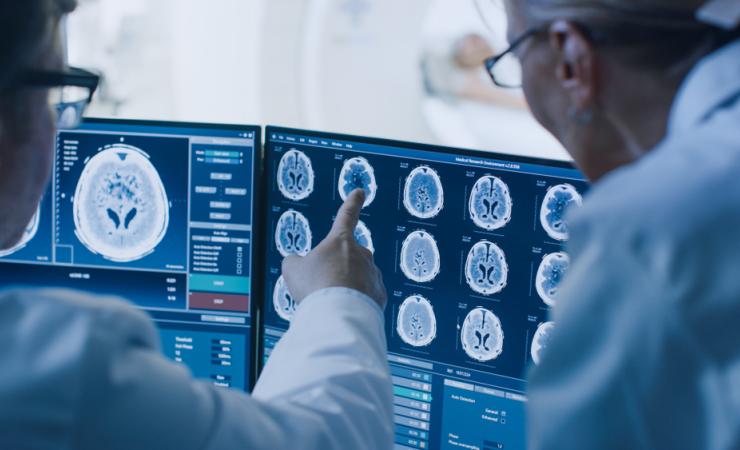 Medical staff discussing a brain scan on a computer screen. Image by Gorodenkoff via Shutterstock.