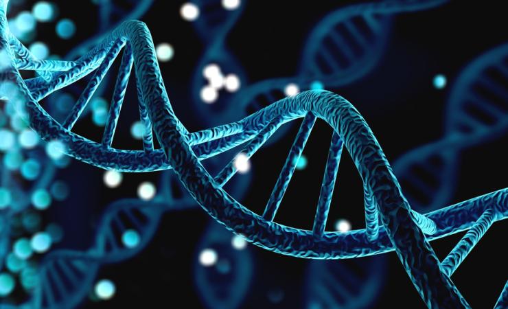 Illustration of a blue DNA helix. Image by Billion Photos via Shutterstock.