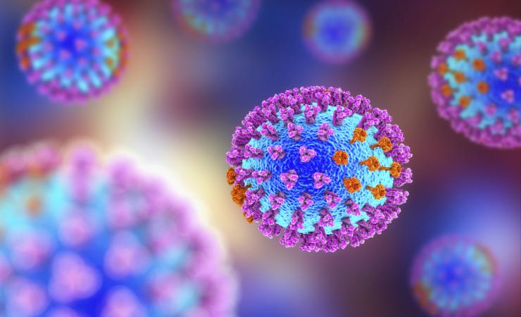An illustration of the influenza virus. Image by Kateryna Kon via Shutterstock.