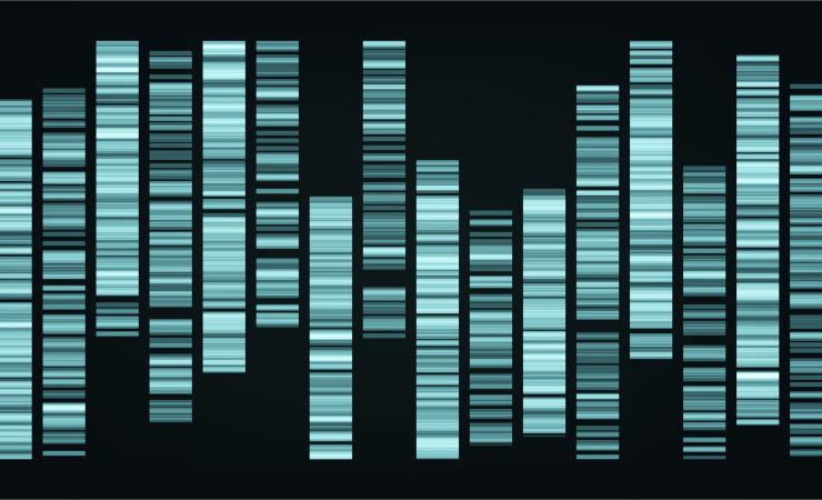 Genomic style pattern. Image by pikepicture via Shutterstock