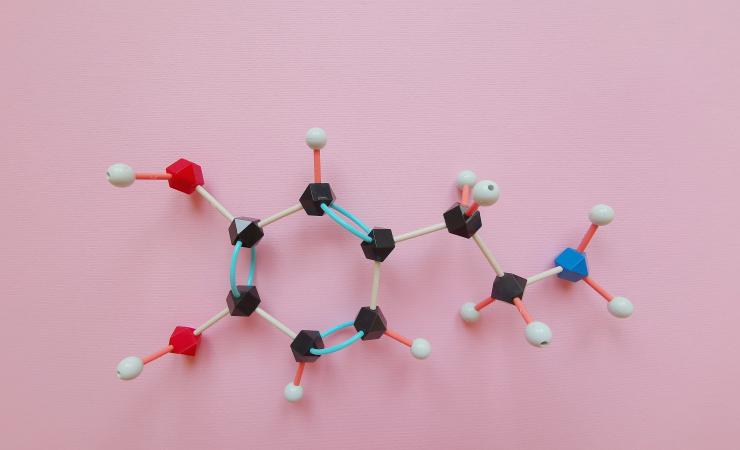 Model of a dopamine molecule by Danijela Maksimovic shutterstock