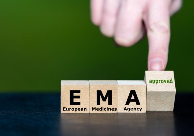Discover how best to engage with the EMA. Image credit: FrankHH via Shutterstock.