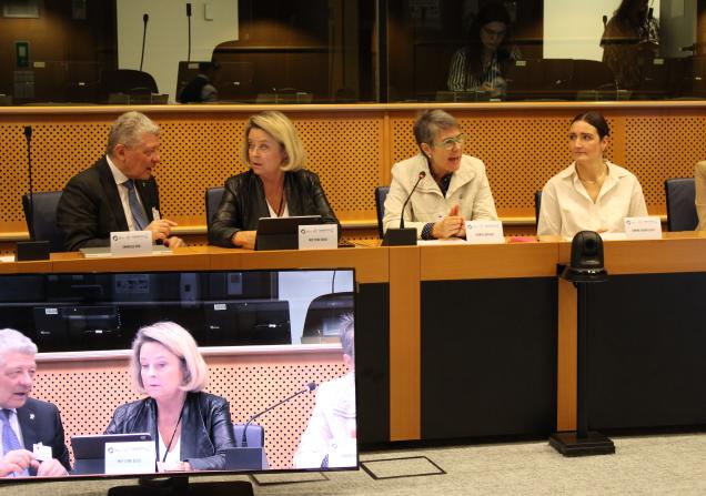 MEP Stine Bosse, Chantal Mathieu, Simone Overby Sloth and Emmanuele Bosi speaking at the European Parliament.