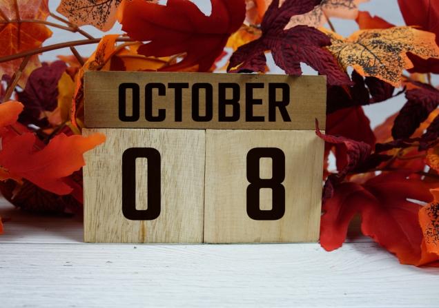 08 October written on wooden blocks, surrounded by autumnal red leaves. Image by mayu85 via Shutterstock.