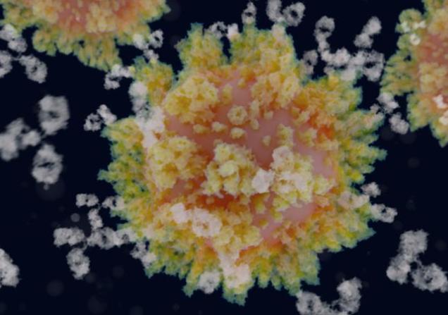Covid antibodies and spike sites. Image by Juan Gaertner via Shutterstock.