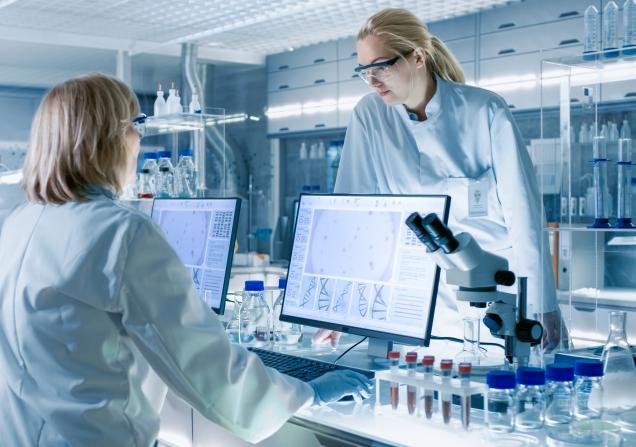 Scientists discussing research in a clinical laboratory. Image credit: Gorodenkoff