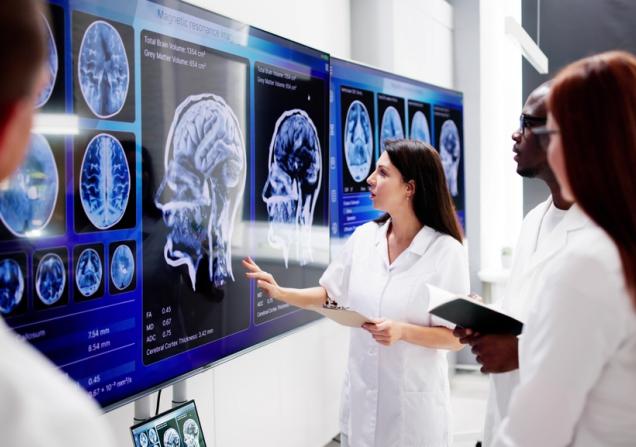 Researchers examining brain scans. Image credit: Andrey Popov via Shutterstock.