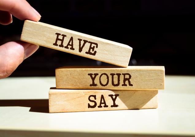 ‘Have your say’ written on wooden blocks. Image by Uuganbayar via Shutterstock.