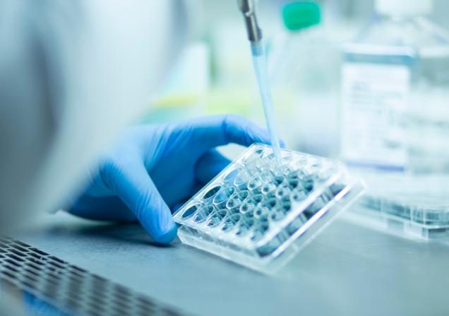 A close-up of someone pipetting in a lab. Image by murat photographer via Shutterstock.