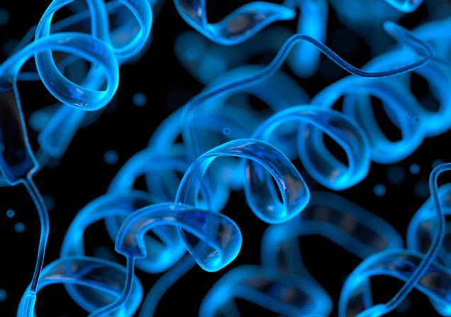 A blue, coil-shaped protein structure. LIGAND-AI is accelerating protein research and drug discovery. © JLStock, Shutterstock