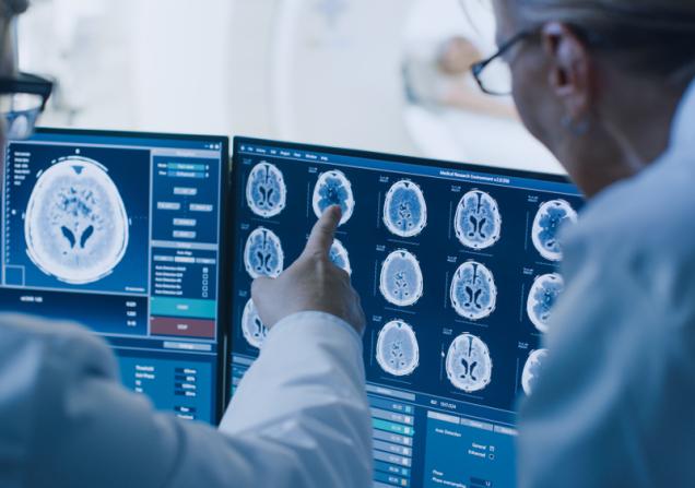 Medical staff discussing a brain scan on a computer screen. Image by Gorodenkoff via Shutterstock.