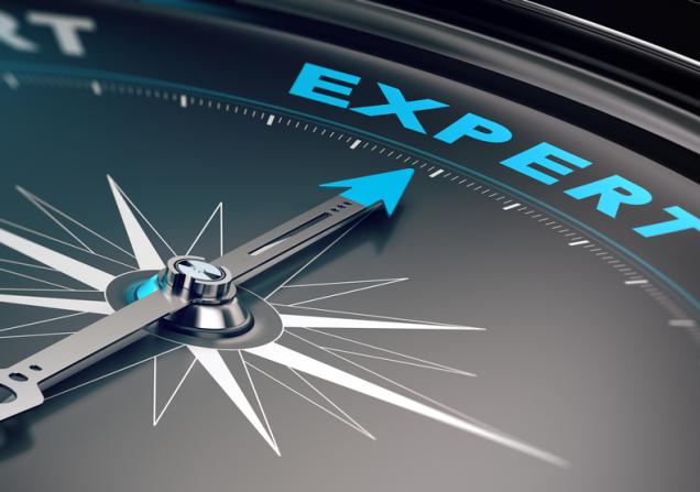 A compass pointing to the word ‘expert’. Image by Olivier Le Moal via Shutterstock
