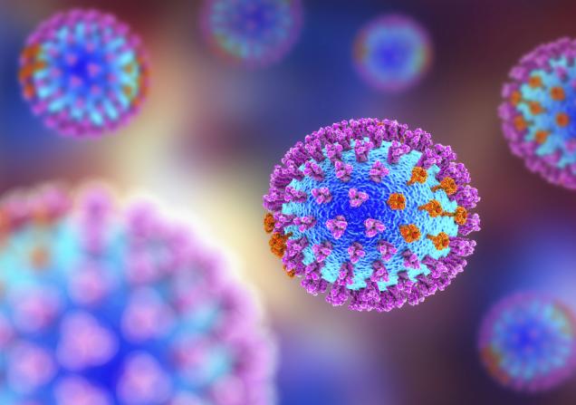 An illustration of the influenza virus. Image by Kateryna Kon via Shutterstock.