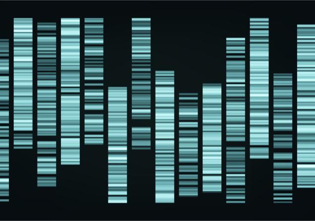 Genomic style pattern. Image by pikepicture via Shutterstock