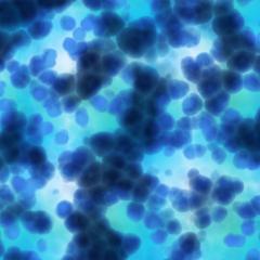 Cancer cells under microscope. Image credit: BORIS via Adobe Stock.