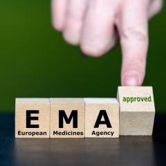 Discover how best to engage with the EMA. Image credit: FrankHH via Shutterstock.