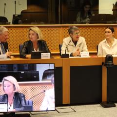MEP Stine Bosse, Chantal Mathieu, Simone Overby Sloth and Emmanuele Bosi speaking at the European Parliament.