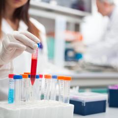 Scientist at work in a laboratory Shutterstock Photo ID: 1216364719