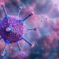 Adeno-associated virus, often used as vectors for gene therapies. 