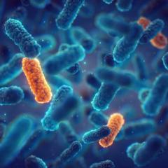 Illustration of antimicrobial resistance. Image credit: nobeastsofierce via Shutterstock