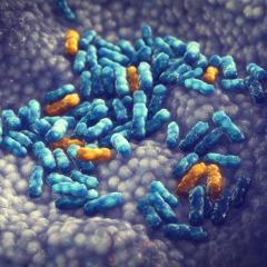 Antimicrobial resistance. Image credit: nobeastsofierce via Shutterstock.