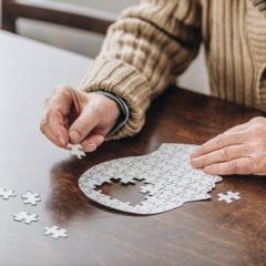 A man doing a jigsaw puzzle of a brain, symbolising Alzheimer's disease.