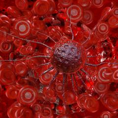 Cancer cell in blood. Image by xrender via Shutterstock