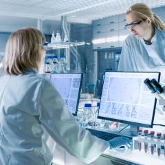 Scientists discussing research in a clinical laboratory. Image credit: Gorodenkoff Scientists discussing research in a clinical laboratory. Image credit: Gorodenkoff