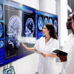Researchers examining brain scans. Image credit: Andrey Popov via Shutterstock. 