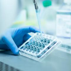 A close-up of someone pipetting in a lab. Image by murat photographer via Shutterstock.